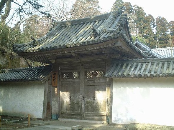 Amazon.co.jp: 山口保吉著「芳花鶴水園の聖地」 発行所 山口究宗