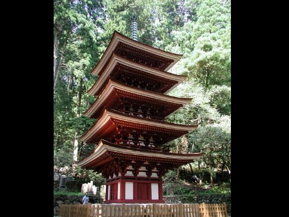 本福寺五重塔 | 清流の森 ～九州の滝と風景～