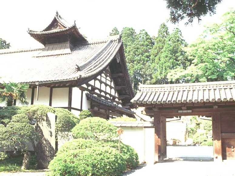 Amazon.co.jp: 山口保吉著「芳花鶴水園の聖地」 発行所 山口究宗